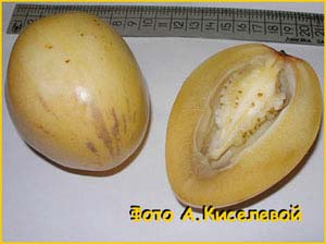   ( ,   ) ( Solanum muricatum )